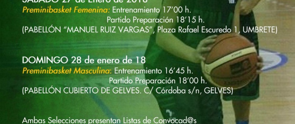 cartel selección pequebasket