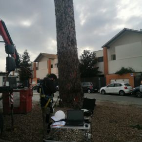 cf2adfb8-6c44-44f1-8681-568450463ec1