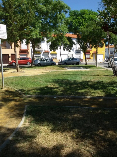 corte césped tempranilla 01