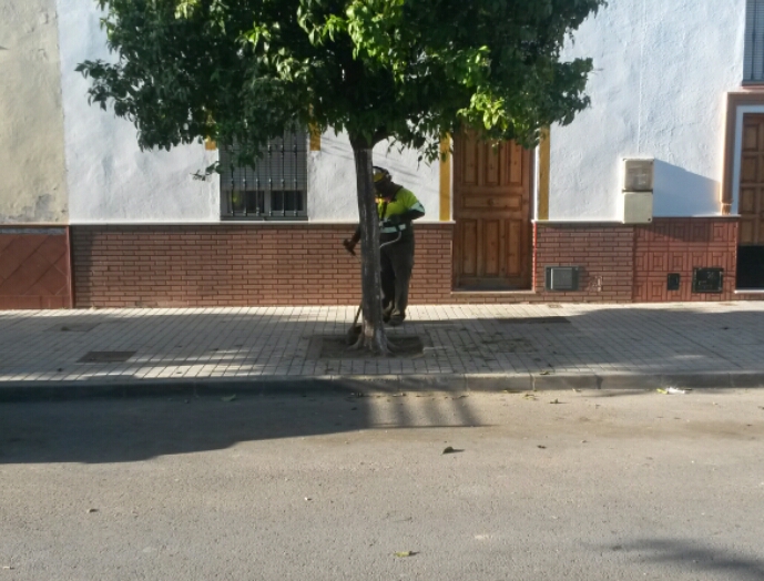 corte hierbas 2018 (1)