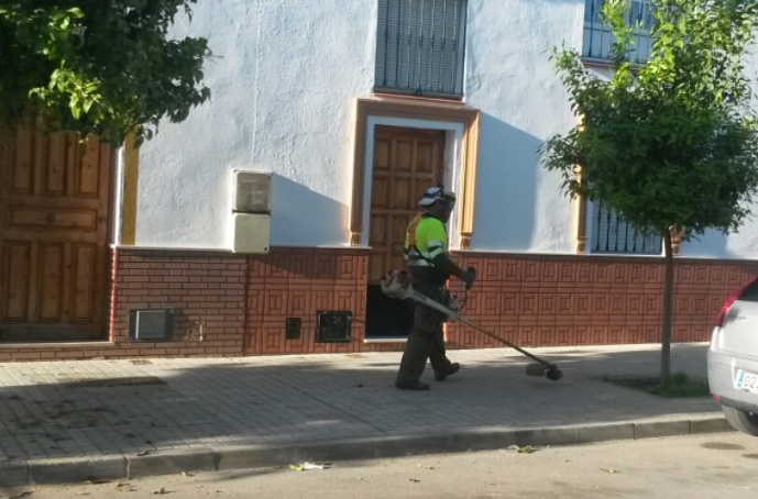 corte hierbas 2018 (2)