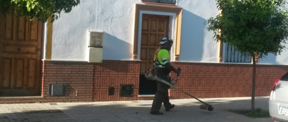 corte hierbas 2018 (2)