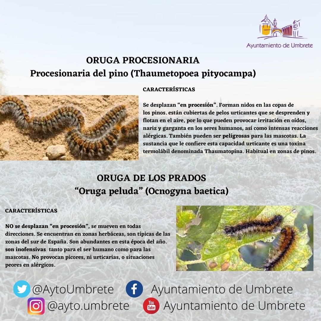 d3dc2615-9561-46cb-bb72-953f61166ca3