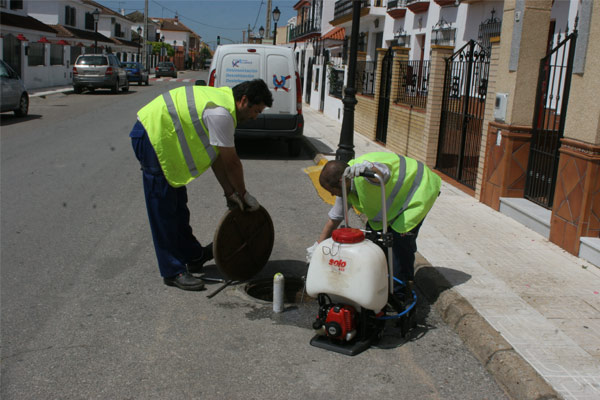 desinsectacion