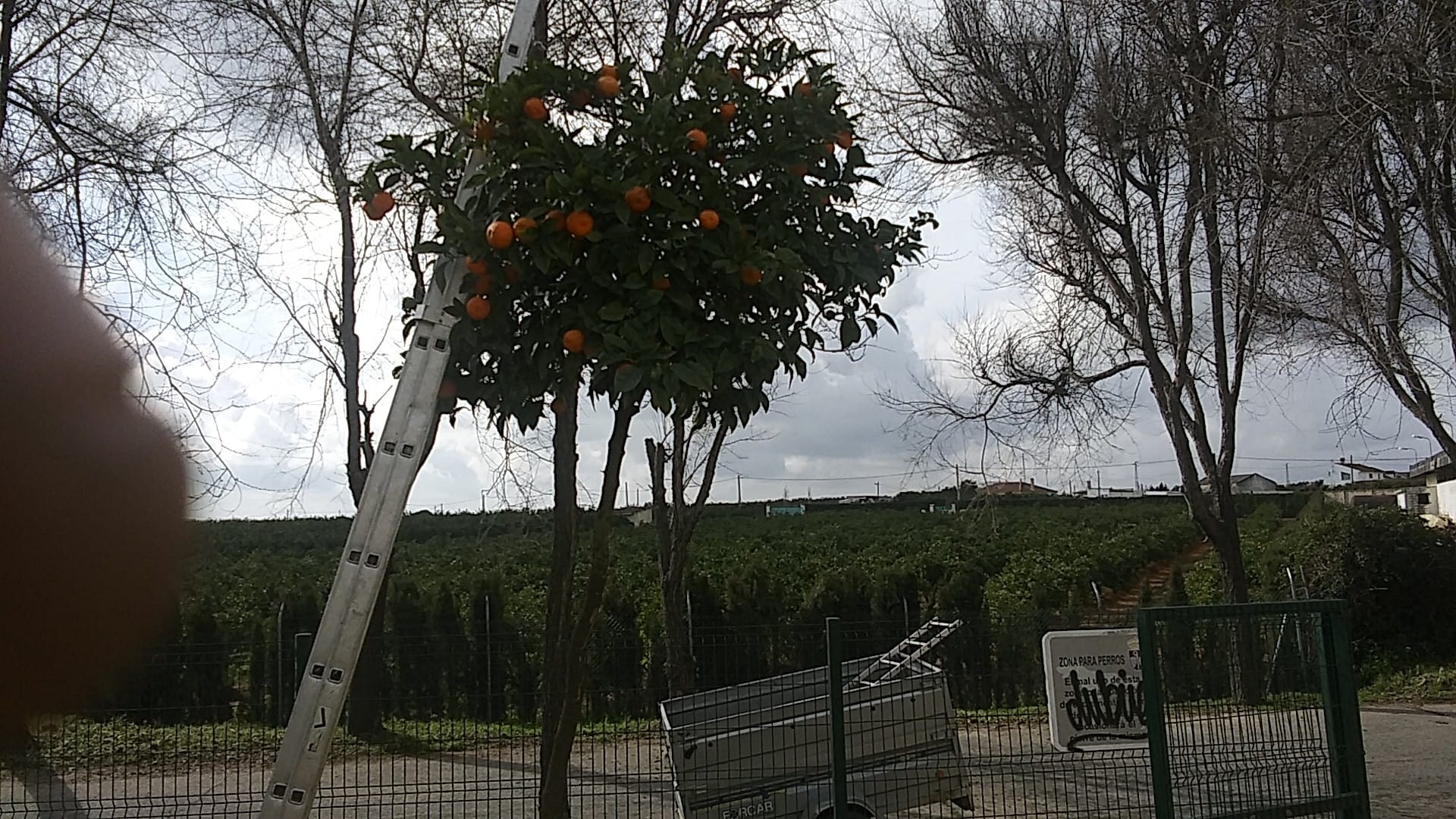 e5fb48aa-07bc-41a9-88d6-833a16ee2a32