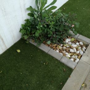 f51024ae-f134-4f46-b941-067d397fd29e