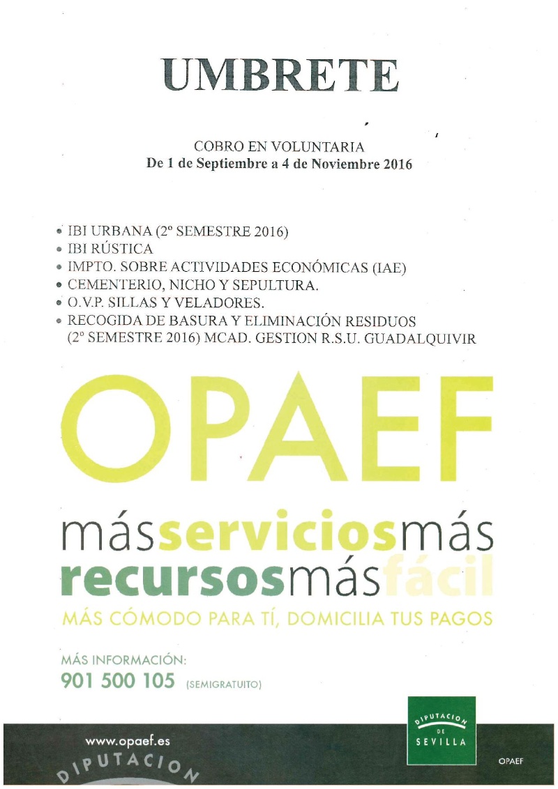 ibi 2º semestre 2016