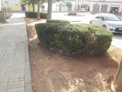 jardinería camino sanlúcar actual 002