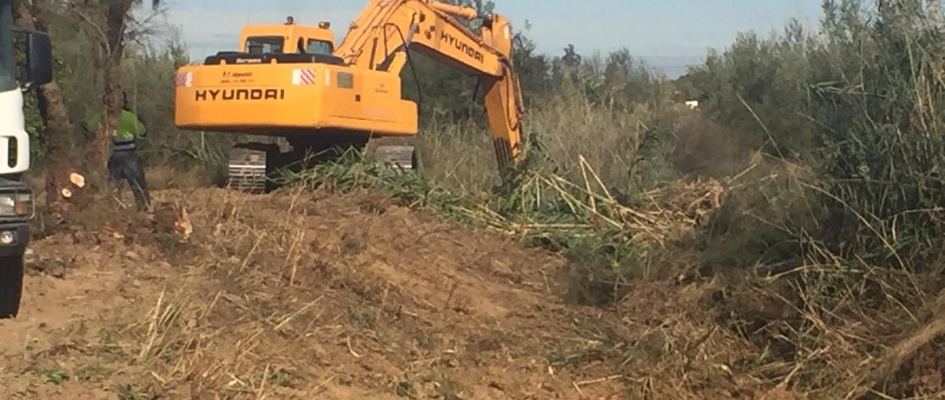 limpieza arroyo octubre 2019 (1)