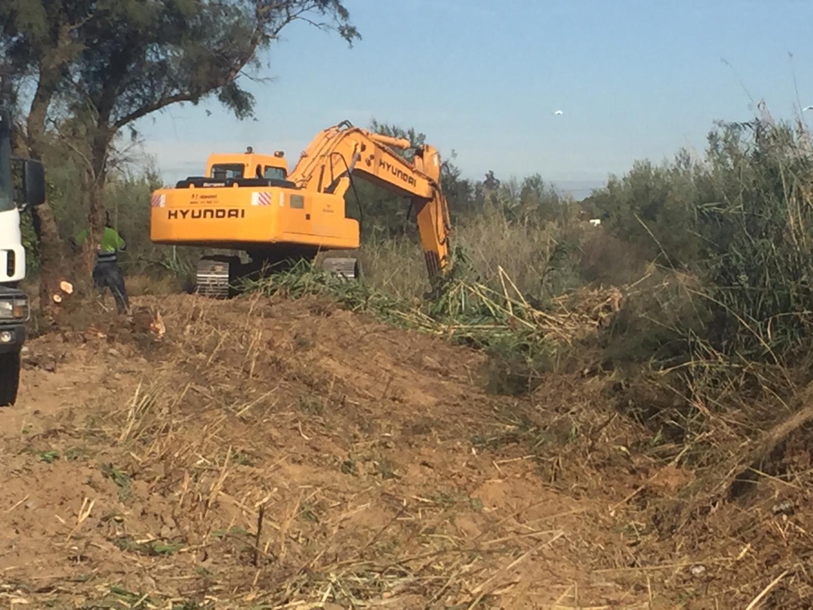 limpieza arroyo octubre 2019 (1)