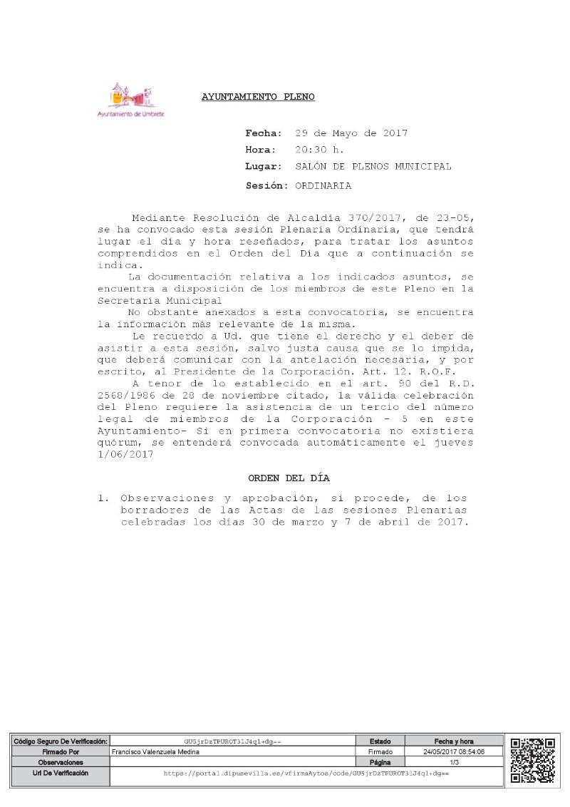 pleno 29 mayo 001