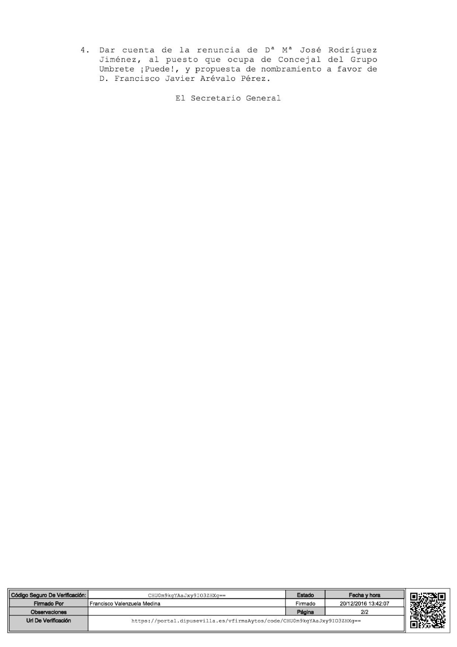 pleno diciembre 02