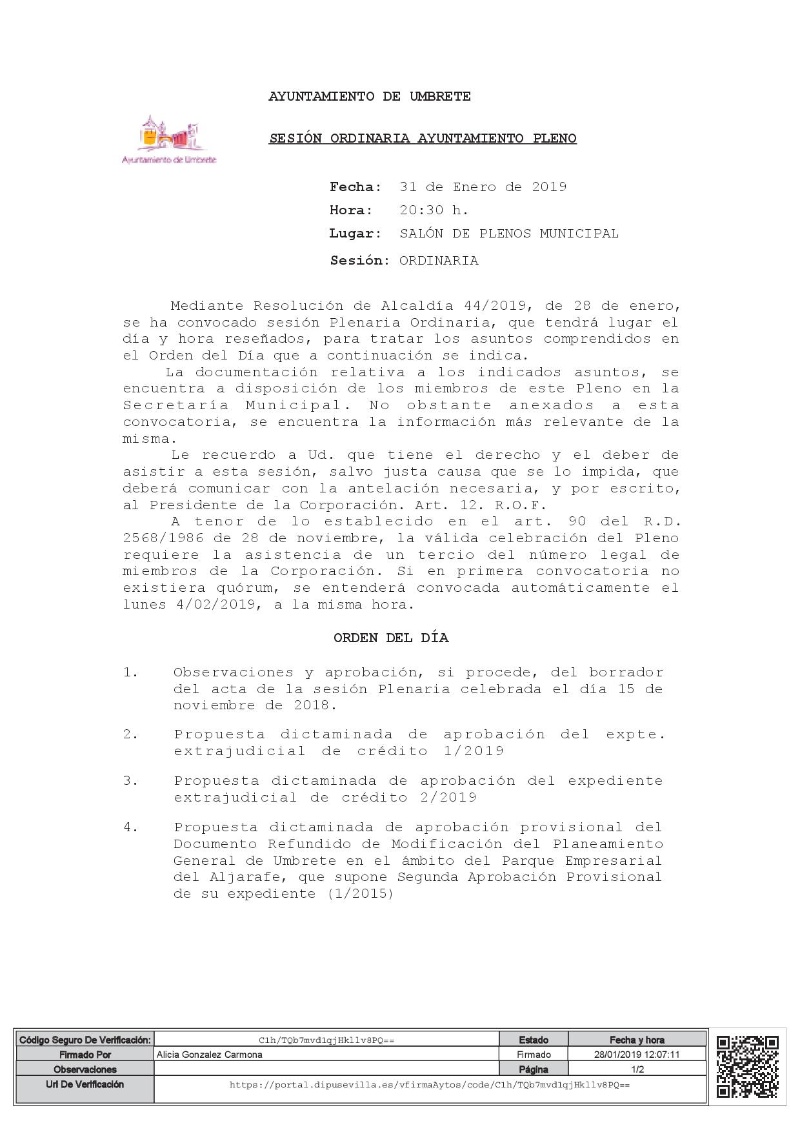 pleno enero 2019-1
