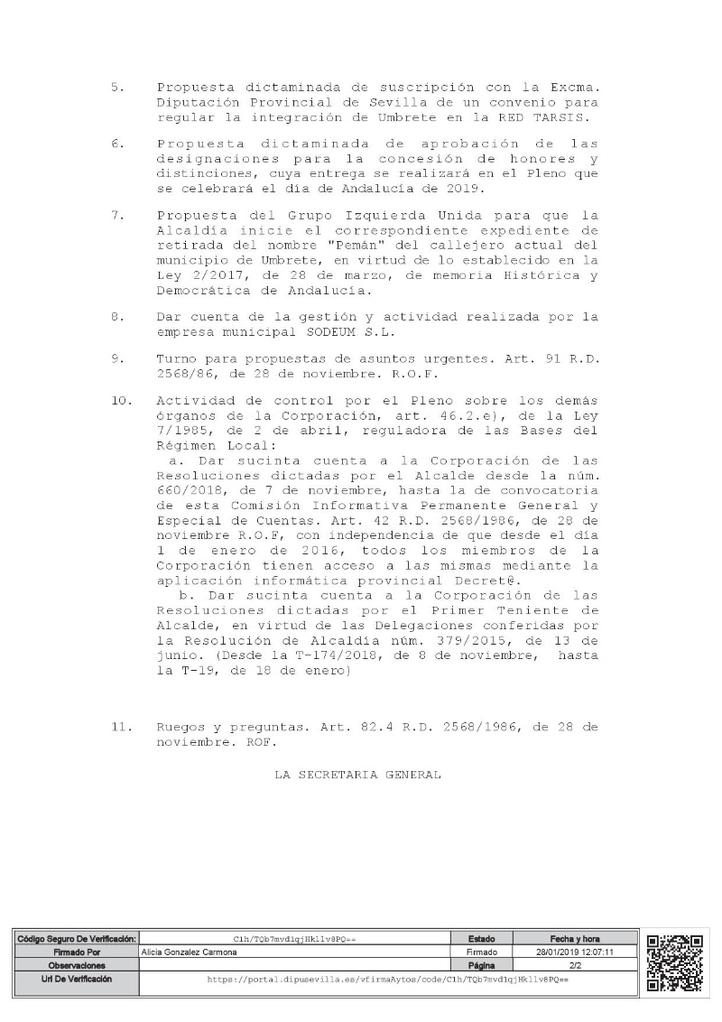 pleno enero 2019-2