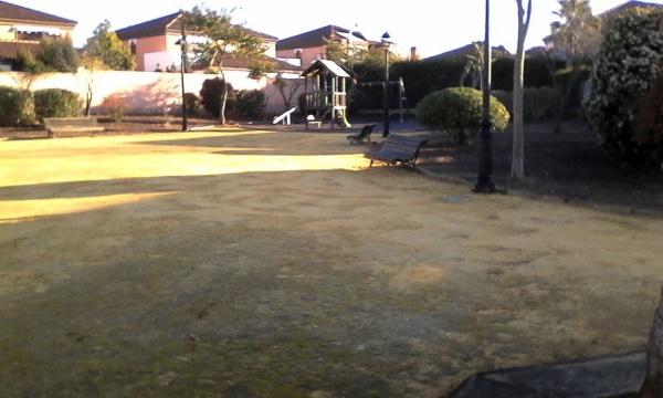 poda donantes 005