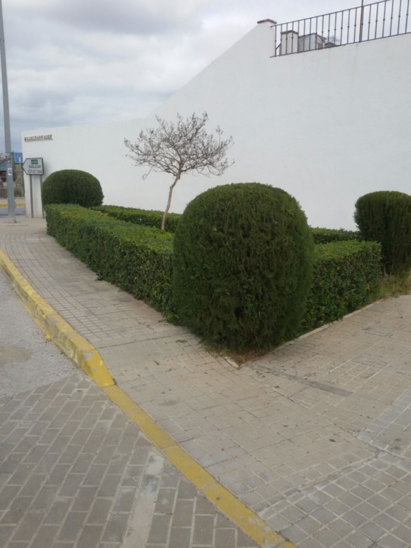 poda majalbarraque 002