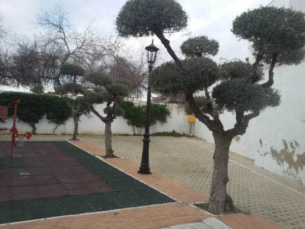poda merendero 003