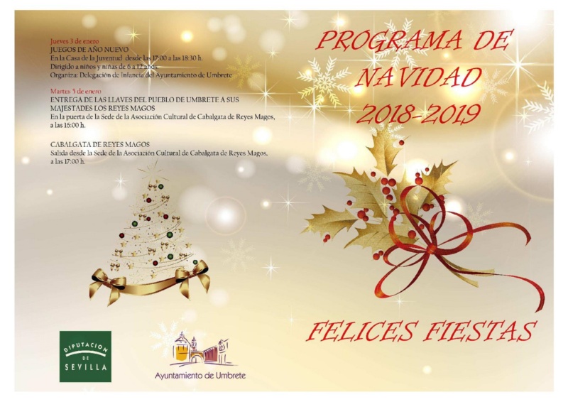 programa navidad 2