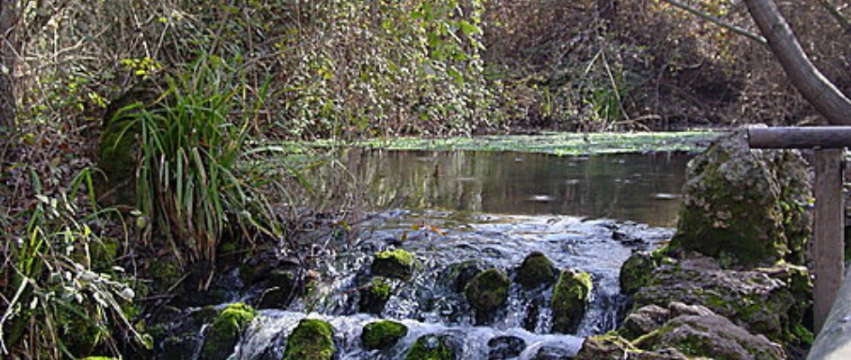 sannicolas