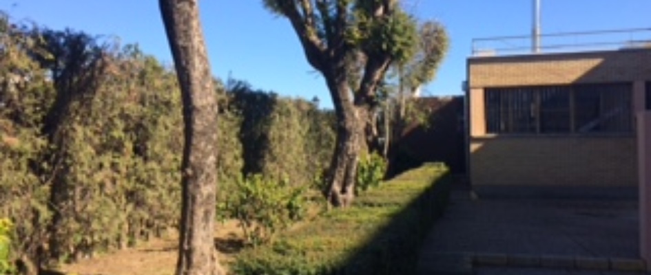 zona verde ruperto escobar (2)