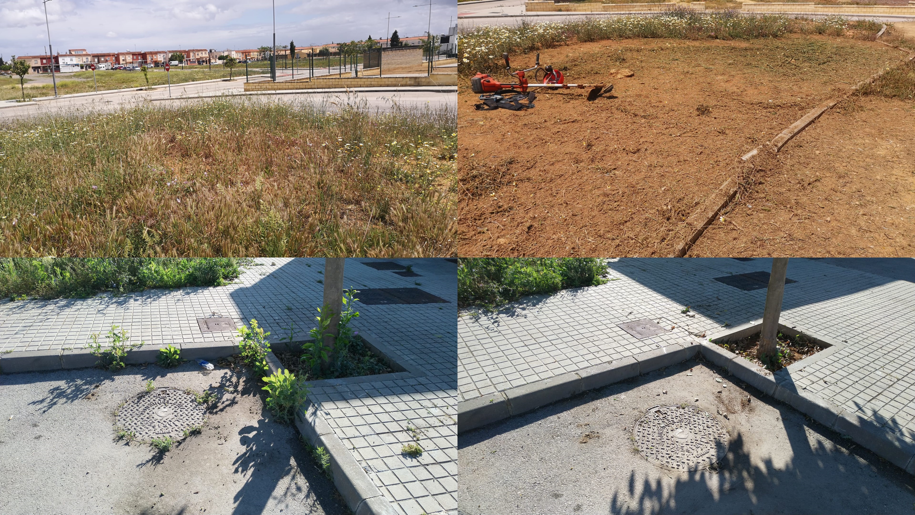 SEGUIMOS AVANZANDO EN EL MANTENIMIENTO DE ZONAS VERDES