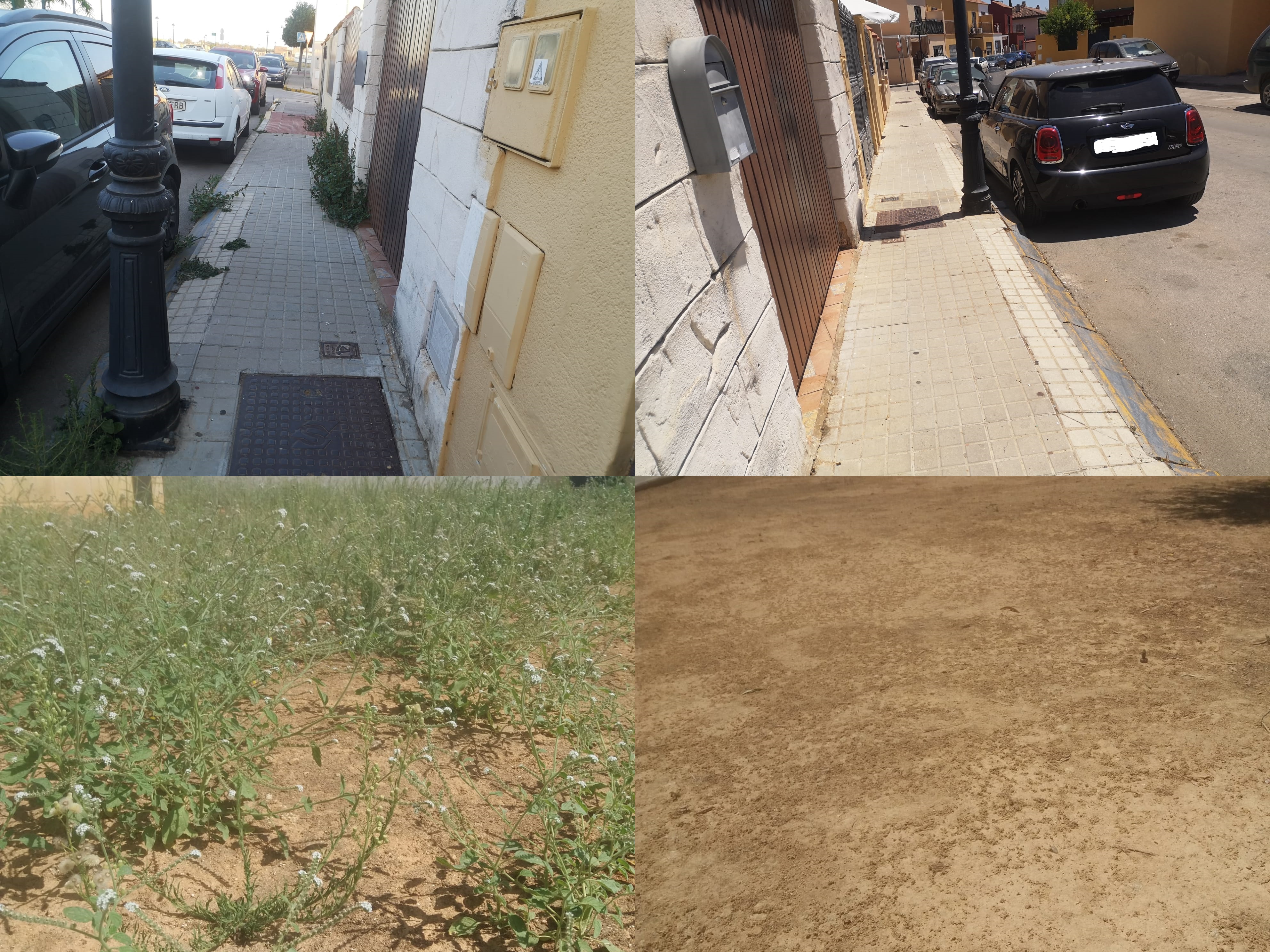 SEGUIMOS TRABAJANDO EN EL MANTENIMIENTO DE ZONAS VERDES