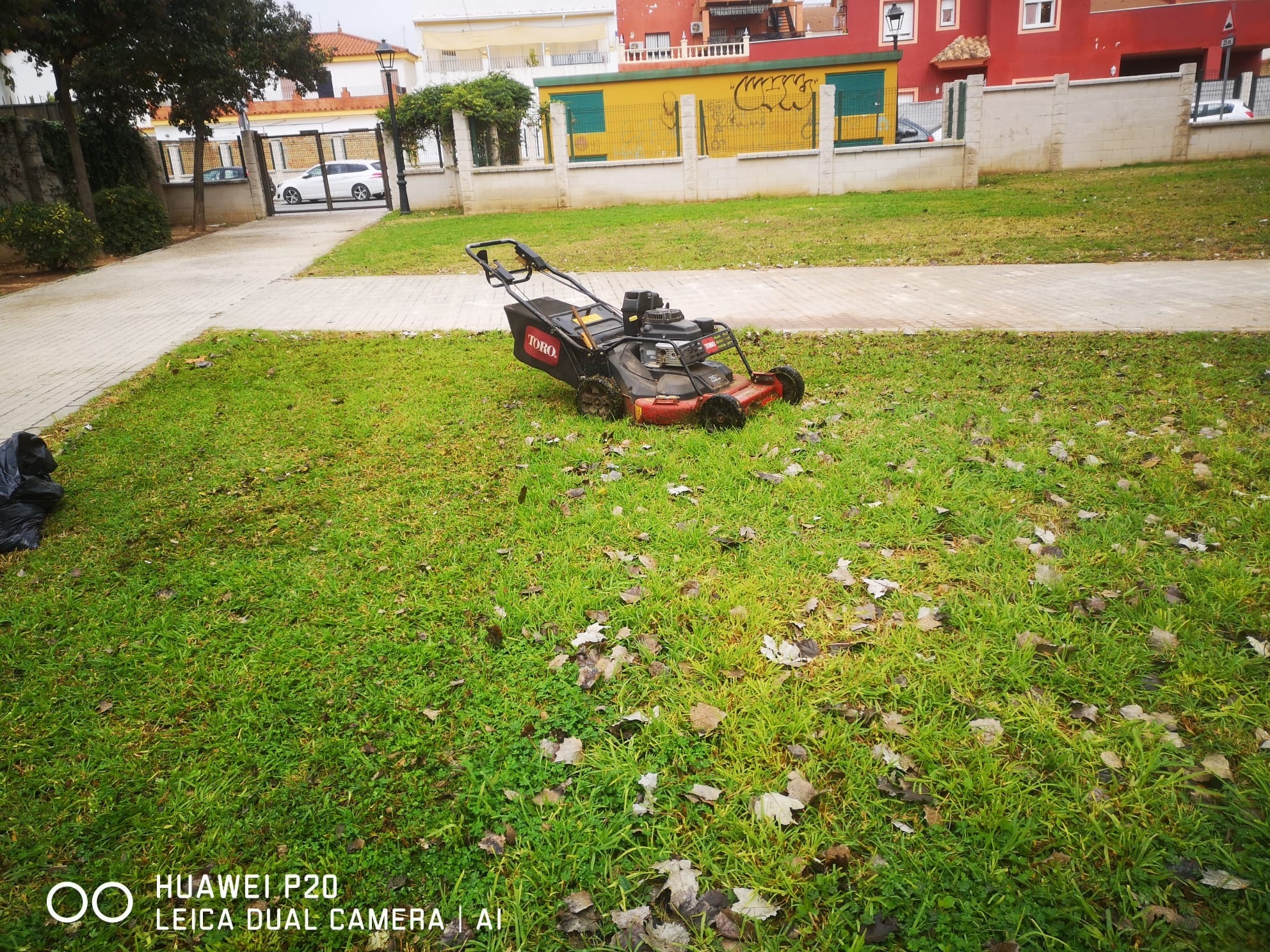 TRABAJANDO EN EL MANTENIMIENTO DE ZONAS VERDES