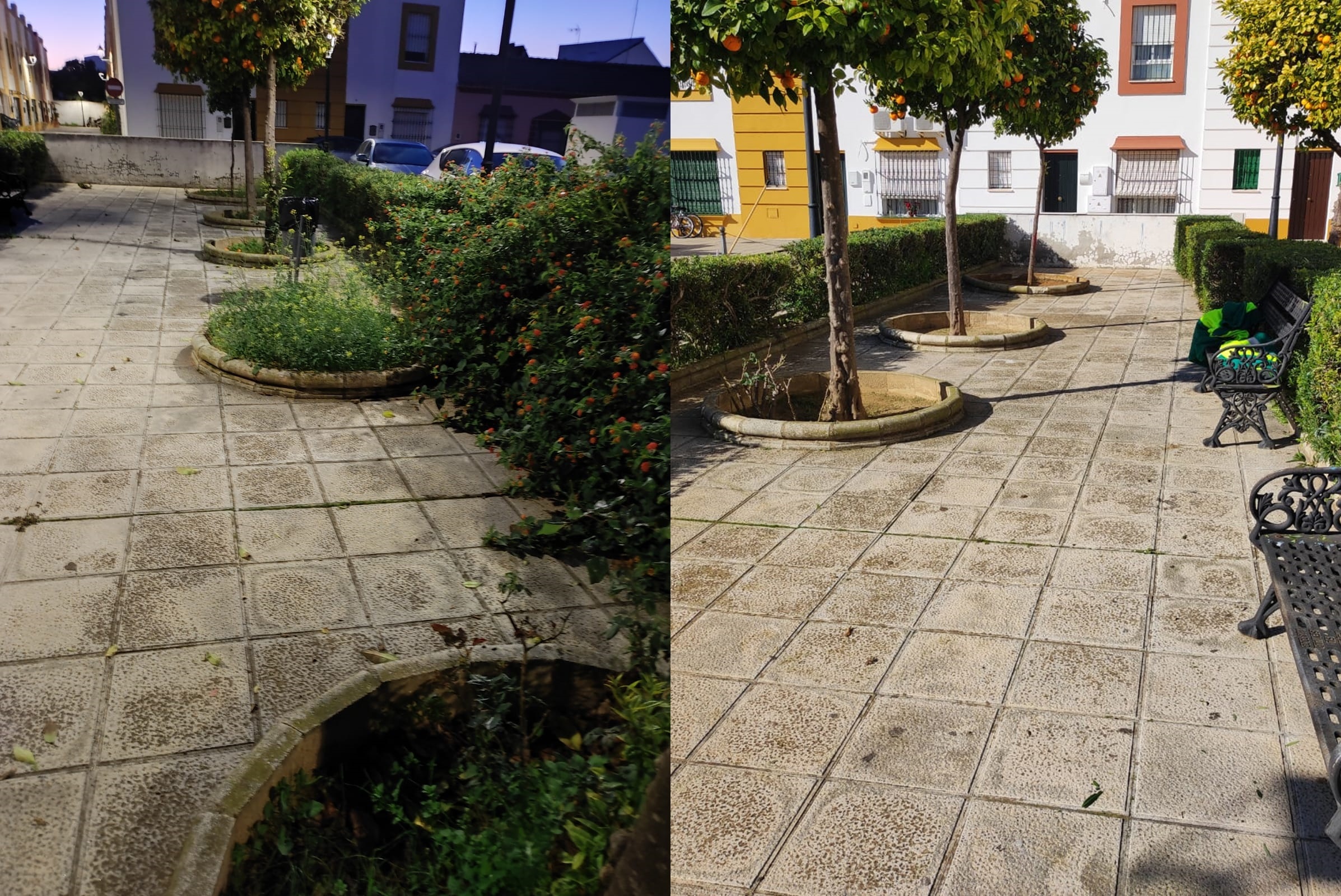 mantenimineto zonas verdes 5