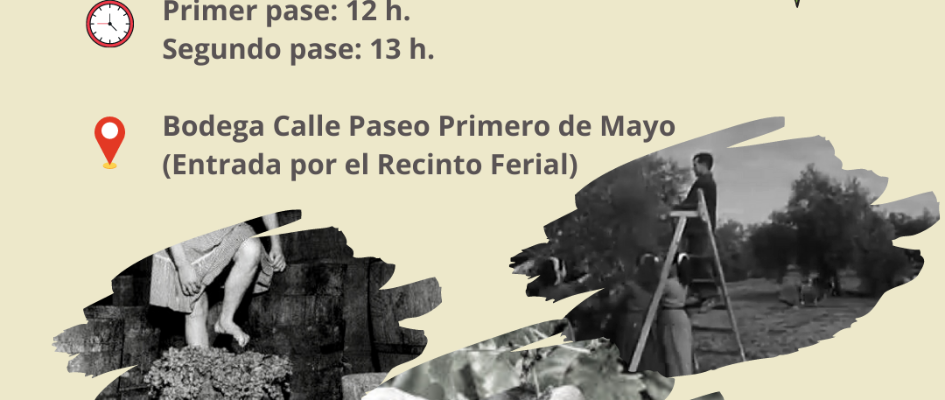 representación Umbrete, bodegas y olivar